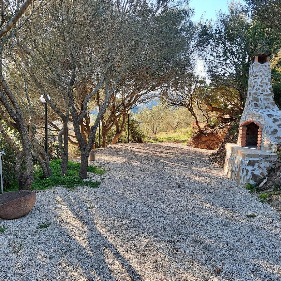 Hotel Valle Del Cedrino Galtellì Buitenkant foto