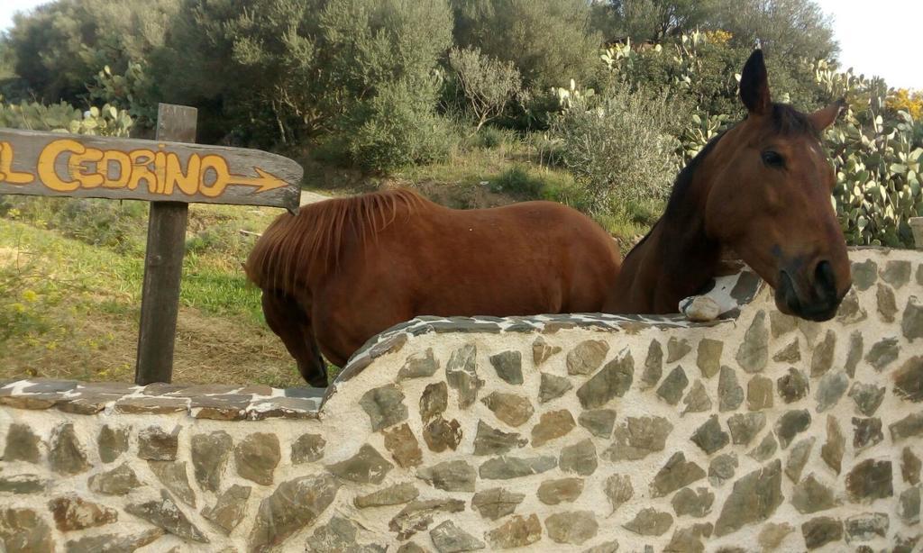 Hotel Valle Del Cedrino Galtellì Buitenkant foto
